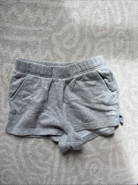 The North Face Light Gray Fleece Shorts